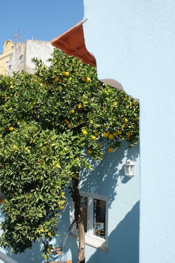 Lisboa Proa D'Alfama Guest House المظهر الخارجي الصورة